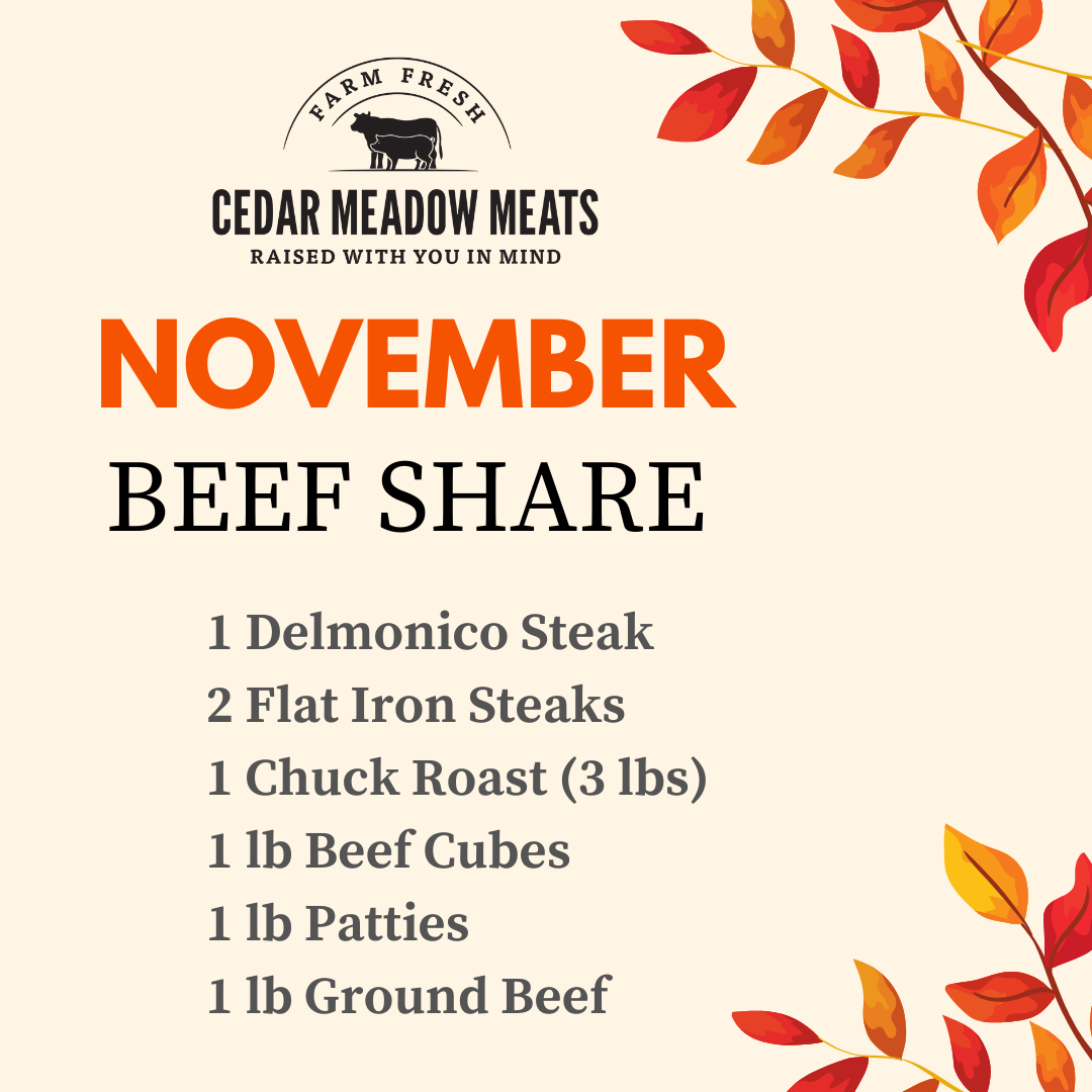 This months beef share